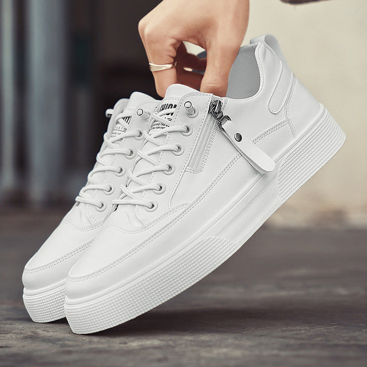 Jedburgh | Trainer