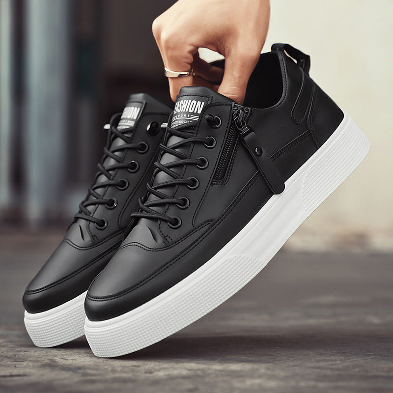 Jedburgh | Trainer