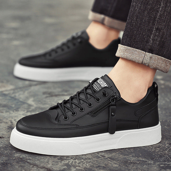 Jedburgh | Trainer