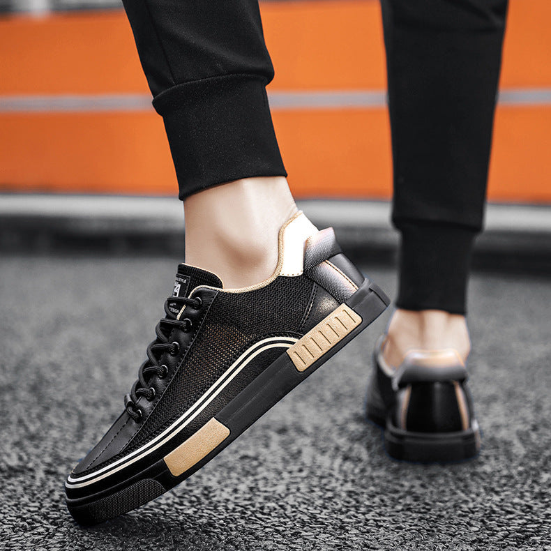 Fenwick | Trainer