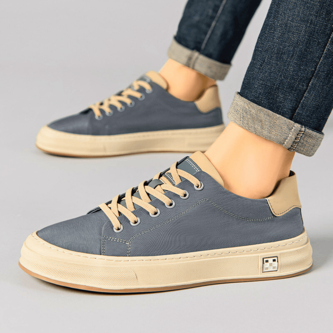Bamburgh | Trainer
