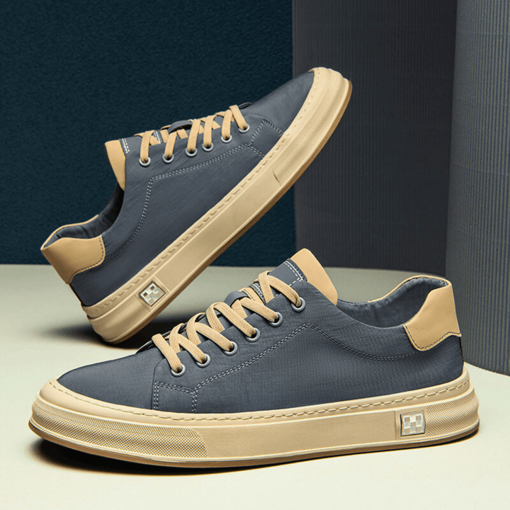 Bamburgh | Trainer
