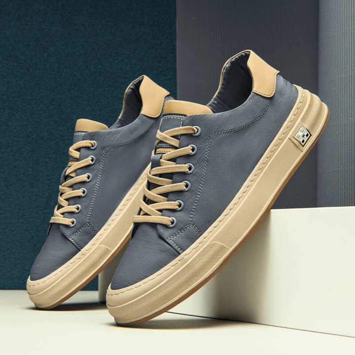 Bamburgh | Trainer