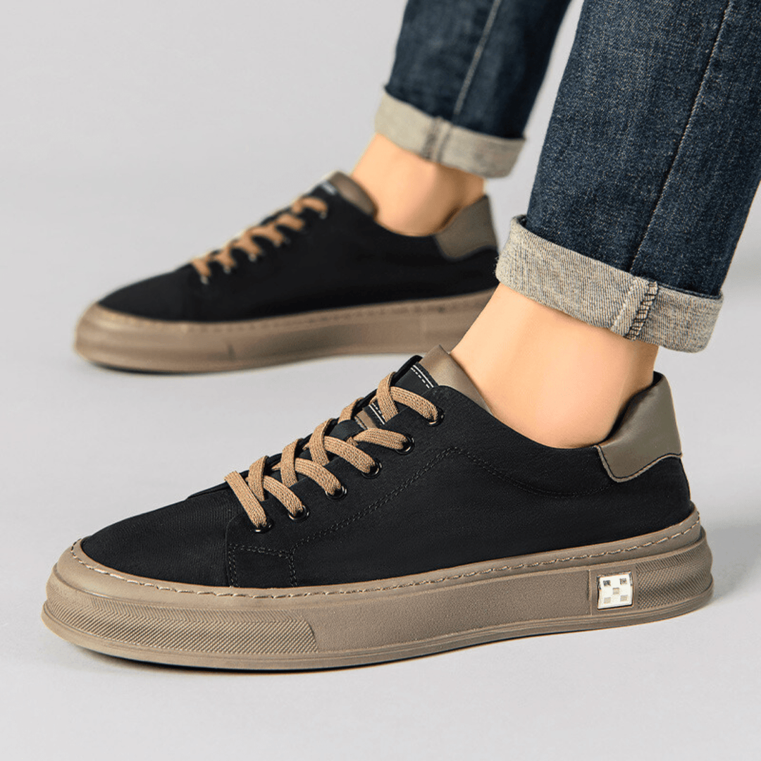 Bamburgh | Trainer