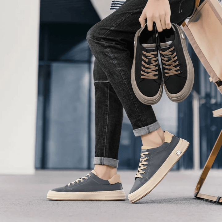 Bamburgh | Trainer